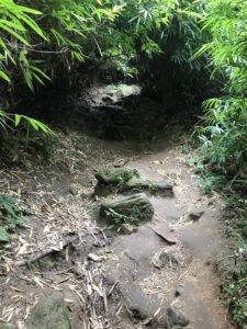 Read more about the article Monks Trail