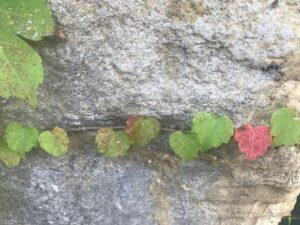 Read more about the article Nicht-chilliger Chilltag