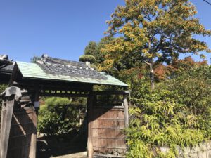 Read more about the article Heiwadai-Park