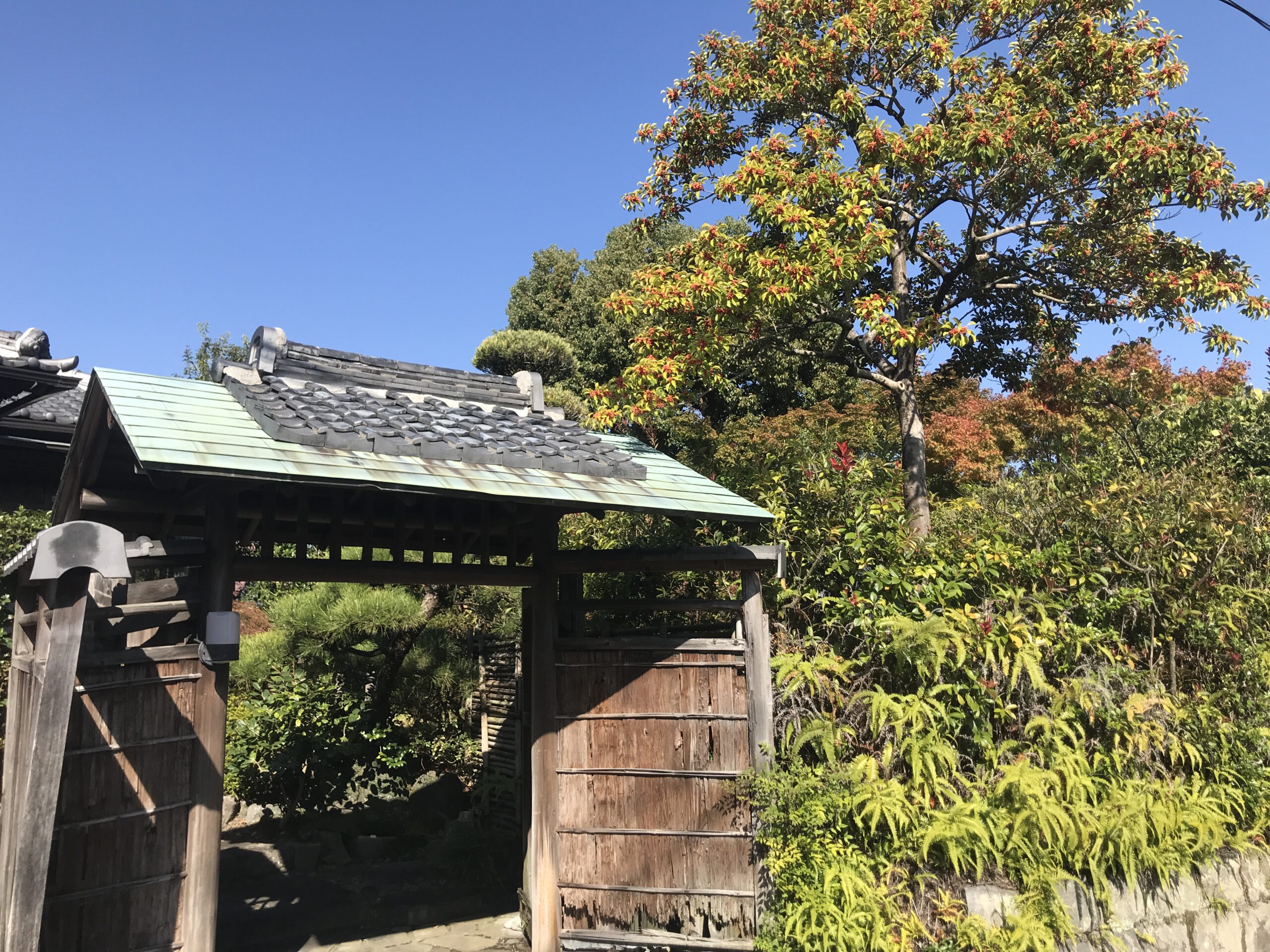 You are currently viewing Heiwadai-Park