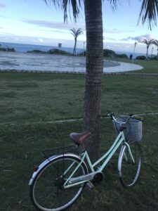 Read more about the article Hualien