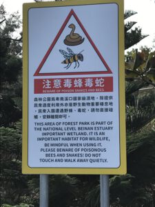 Read more about the article Taitung