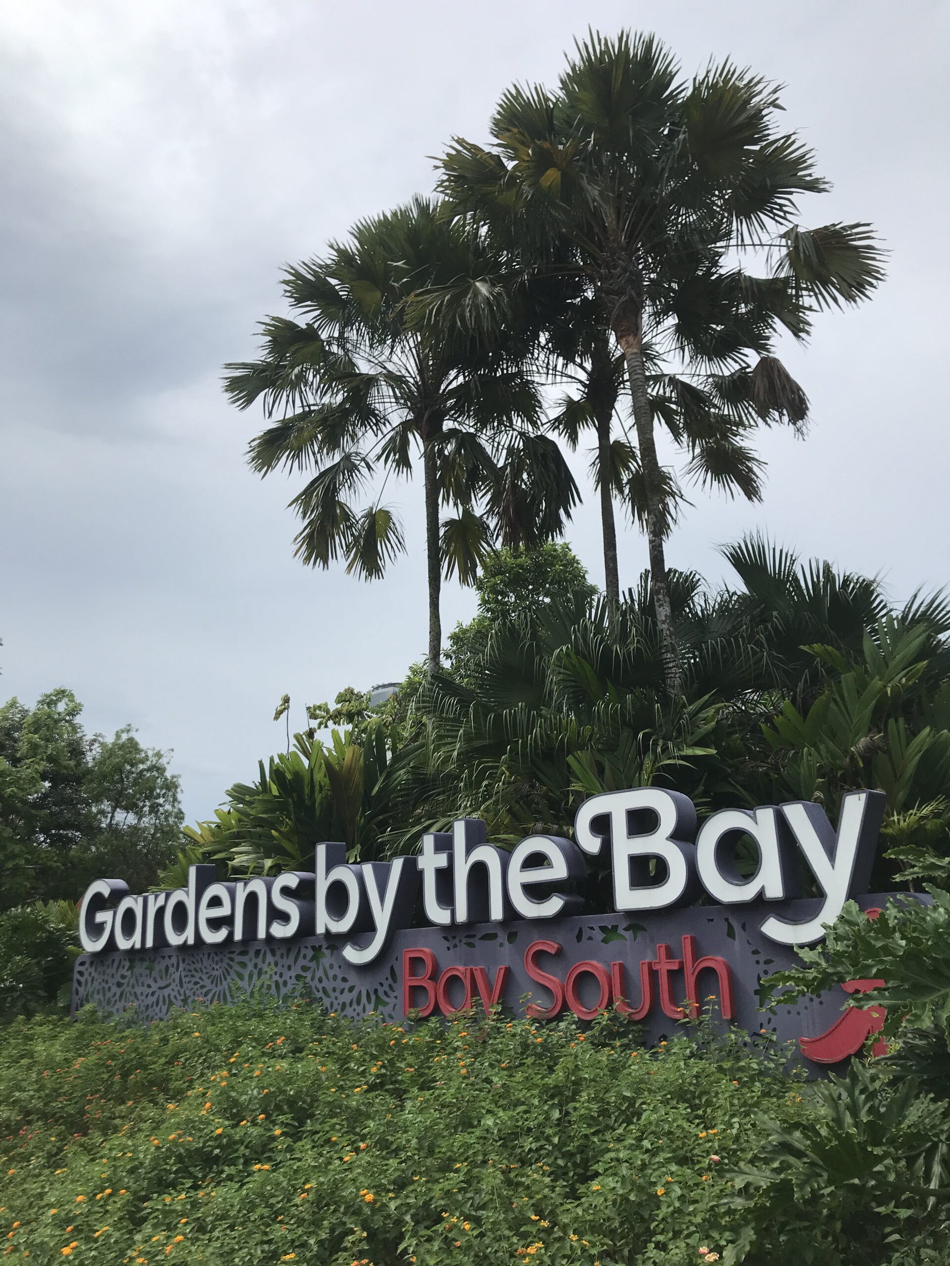 Read more about the article Gardens by the Bay