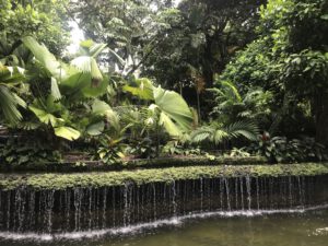 Read more about the article Botanical Garden