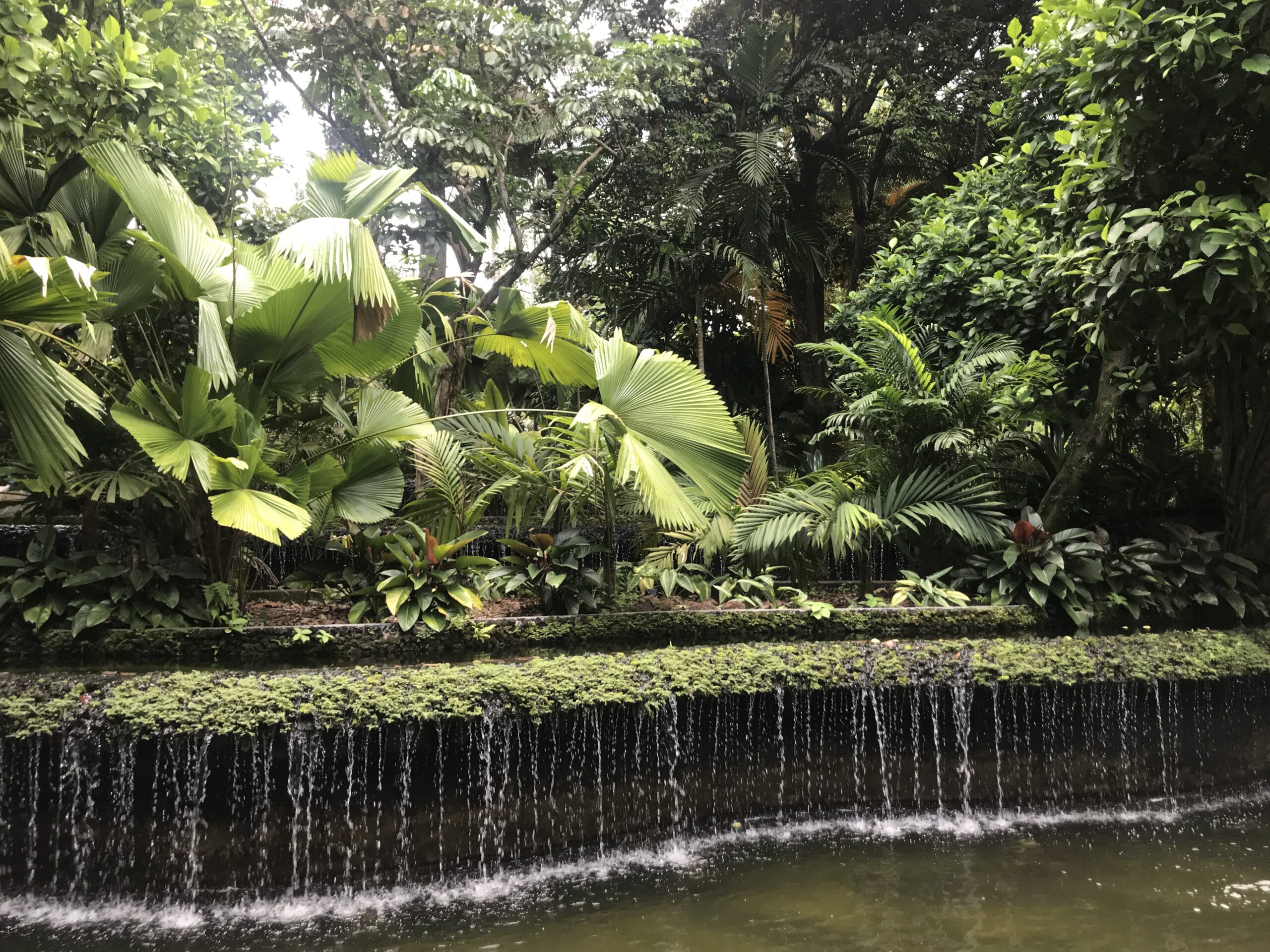 Read more about the article Botanical Garden