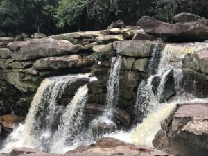 Read more about the article Bokor Nationalpark